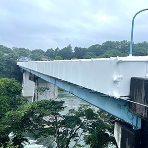 橋梁足場養生