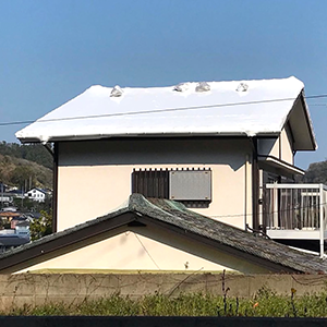 一般養生